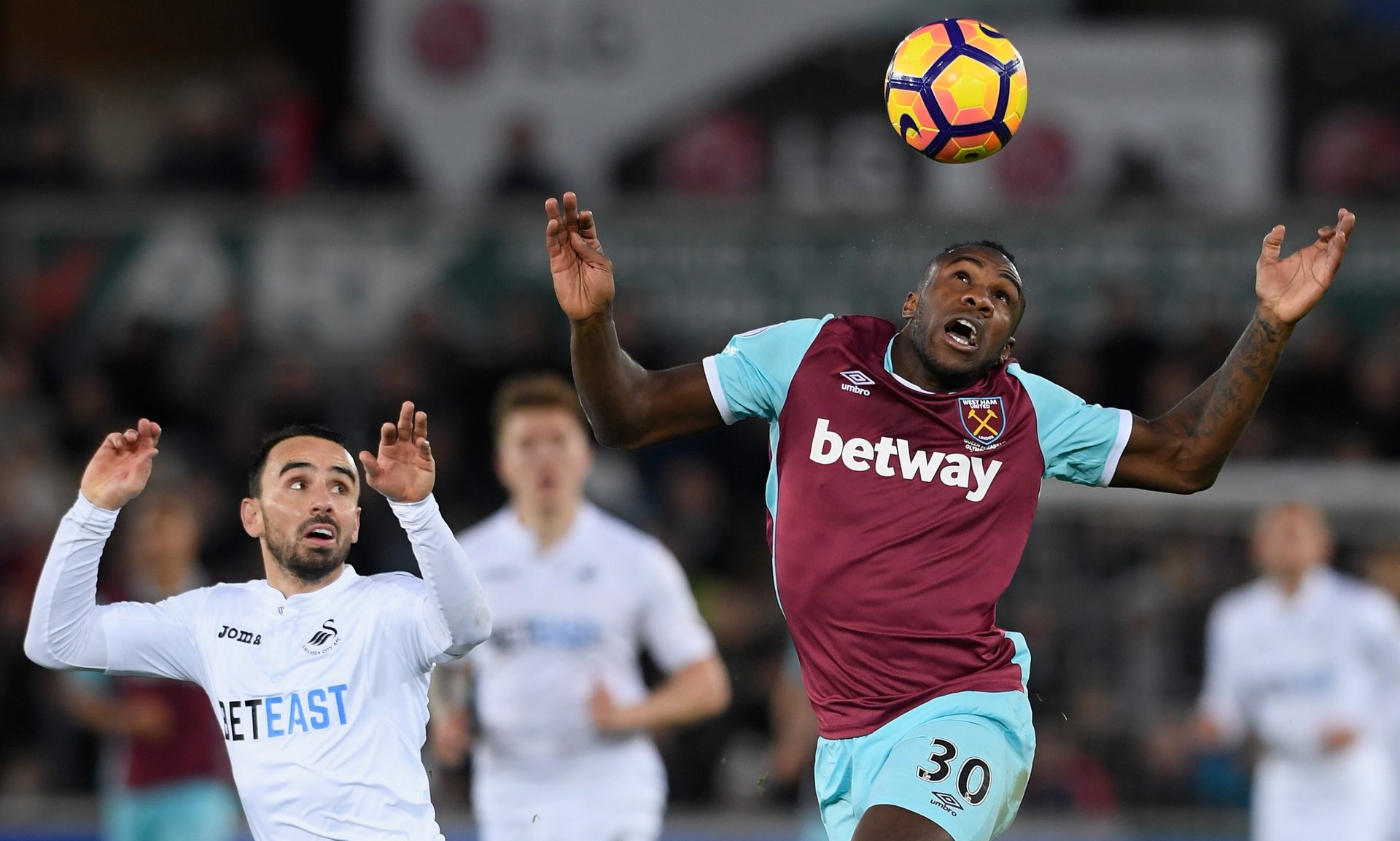 的关注中 的关注中